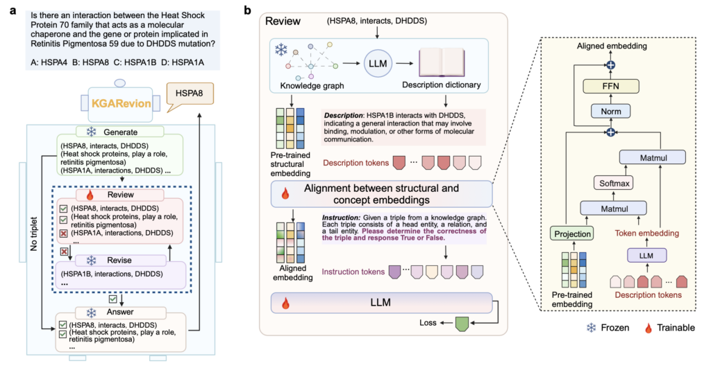 a) KGARevion 개요와 b) Review 단계에서의 파인튜닝 구조: KG는 구조적 임베딩을, LLM은 개념 임베딩을 제공.
